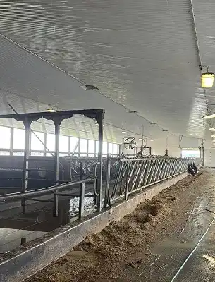 clean, spotless barn