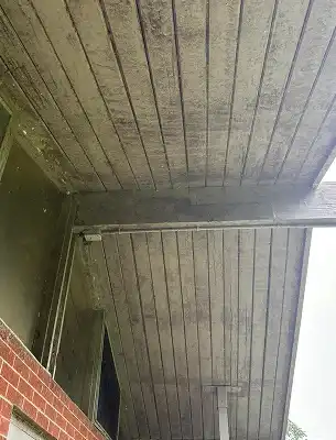 dirty out building with dirt smeared on wood veneer