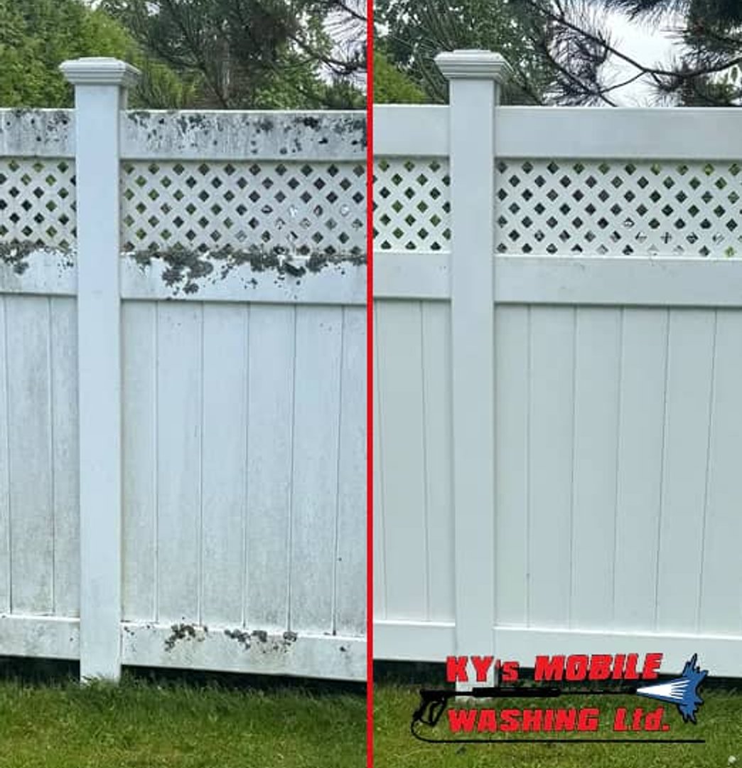 fence cleaning