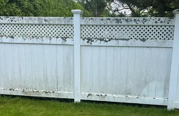 dirty fence with mold, dirt and grass