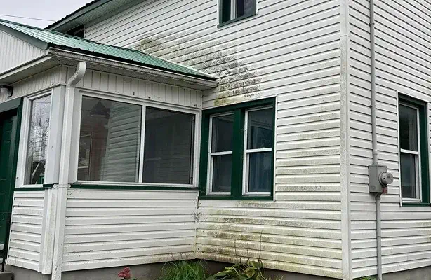 house siding with mold, dirt and grass