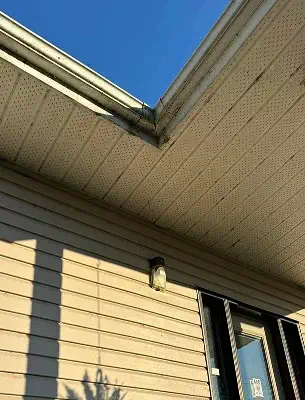 sofit with mold, dirt and grass smeared on