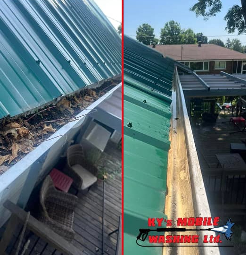 Gutter Cleaning