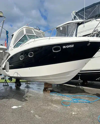 clean, spotless concreate steps