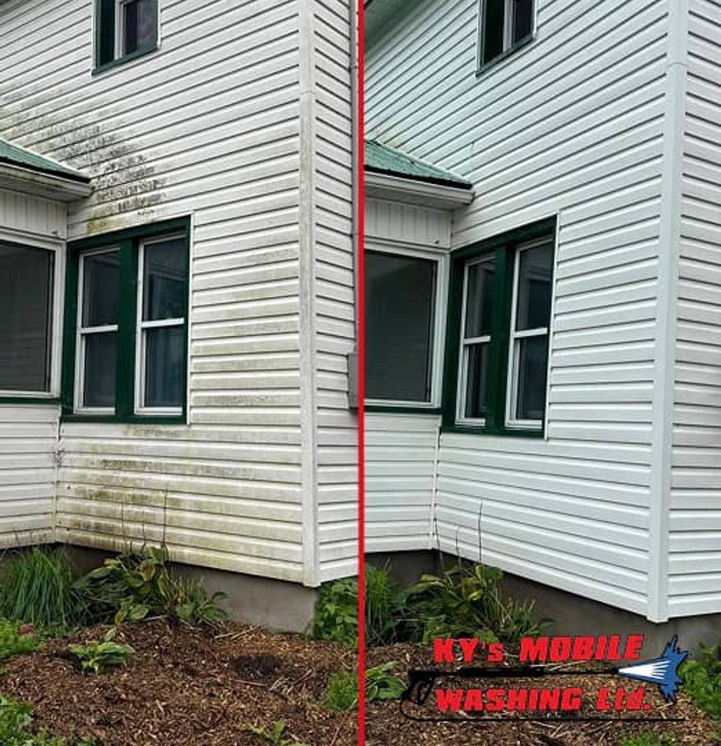 house vinyl siding softwash