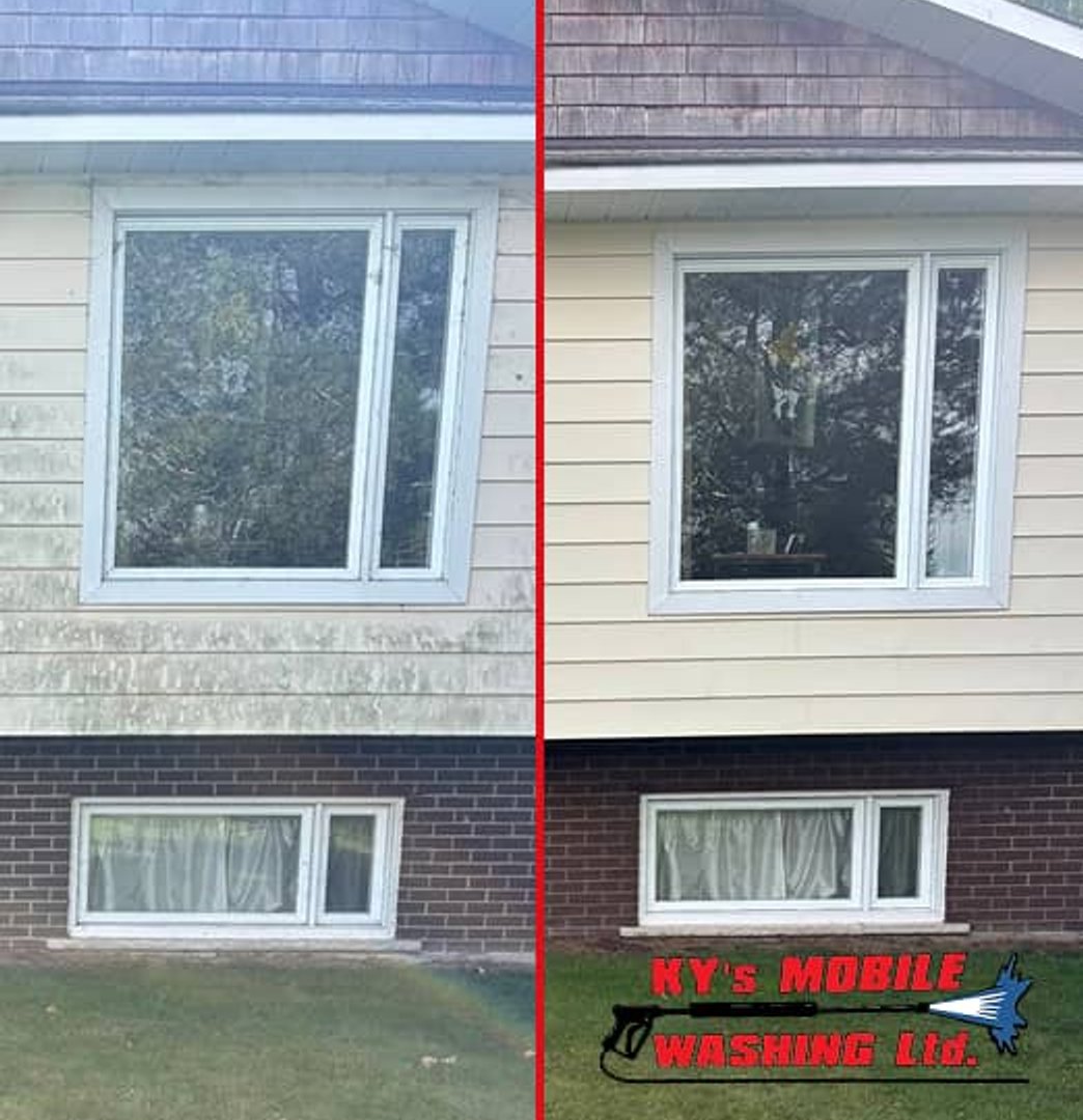 window cleaning