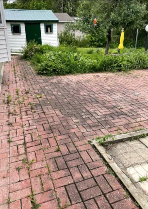 dirtry interlocking path fill with grass and mud